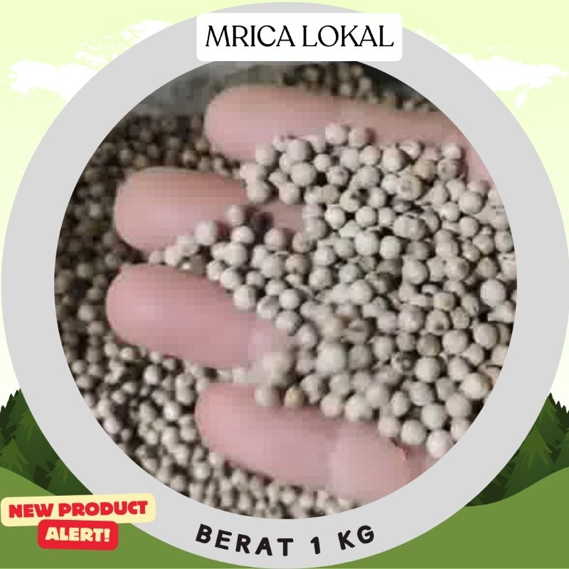 

Merica lokal Pacitan berat 1 kg