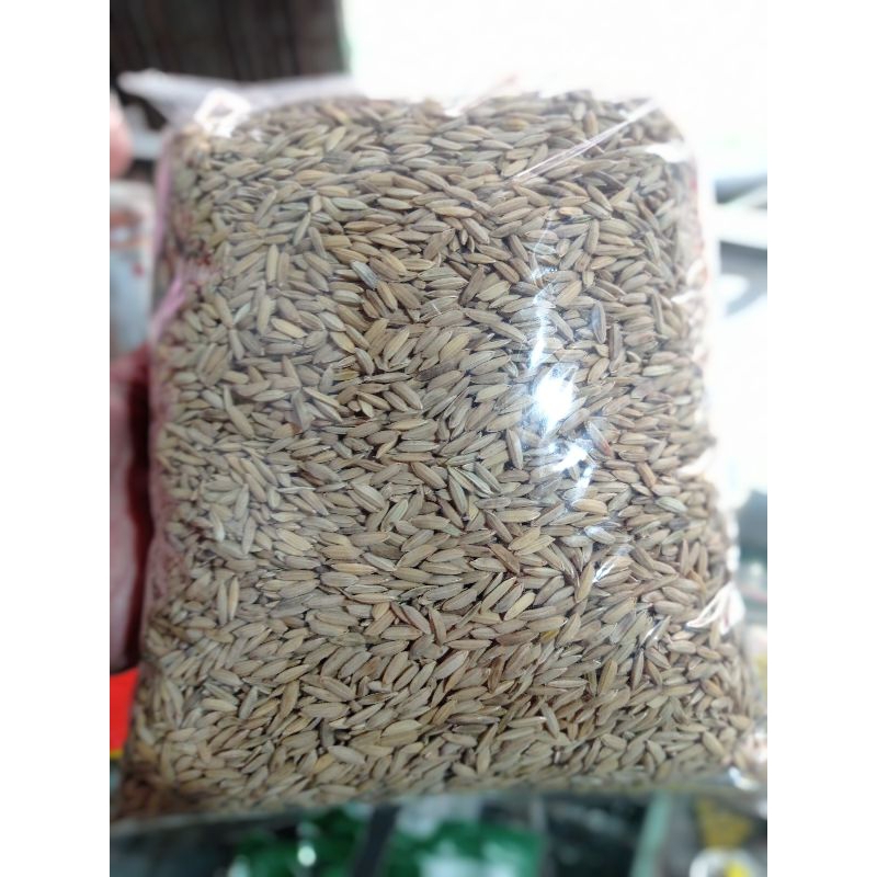 GABAH SUPER KILOAN pakan ayam kiloan GABAH BERAS MERAH