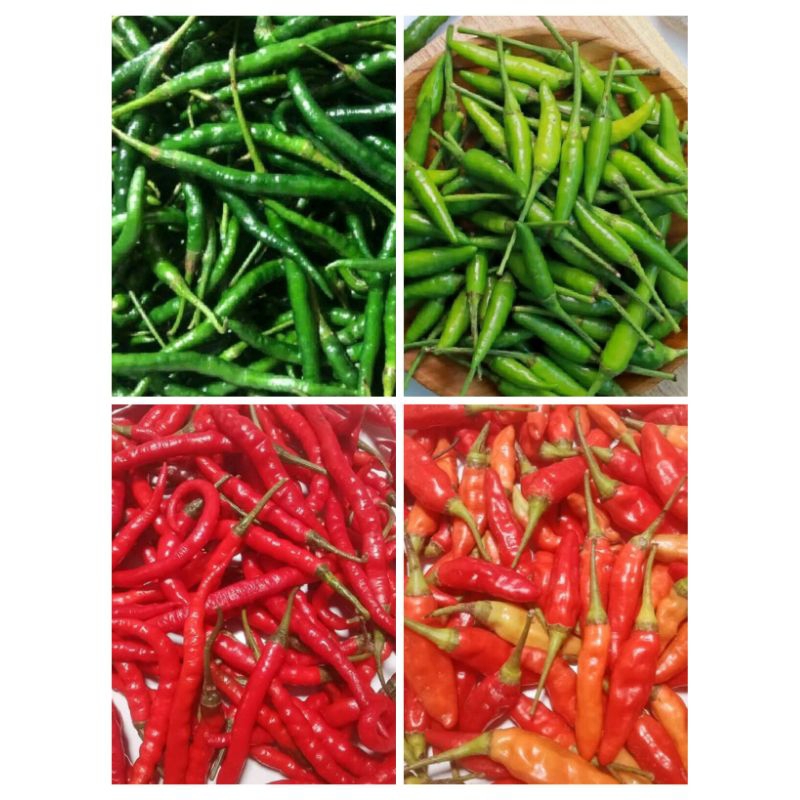 

cabe dan bawang serba 5000