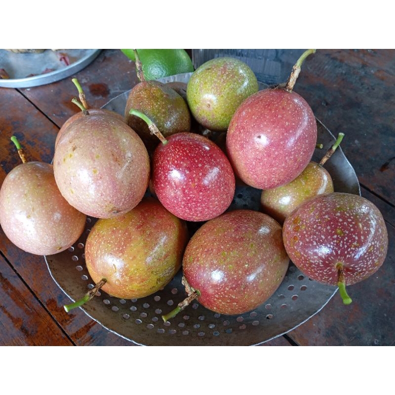 

MARKISA MERAH SUKABUMI