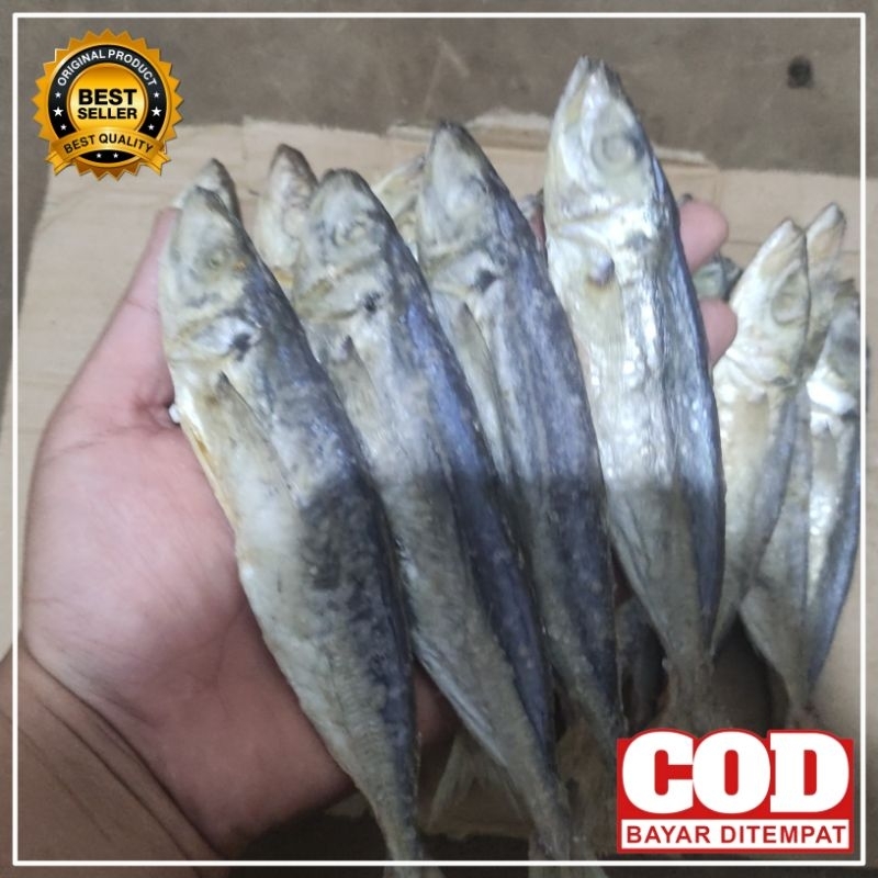 

Ikan asin peda khas Cilacap berkualitas 250g 500g 1kg