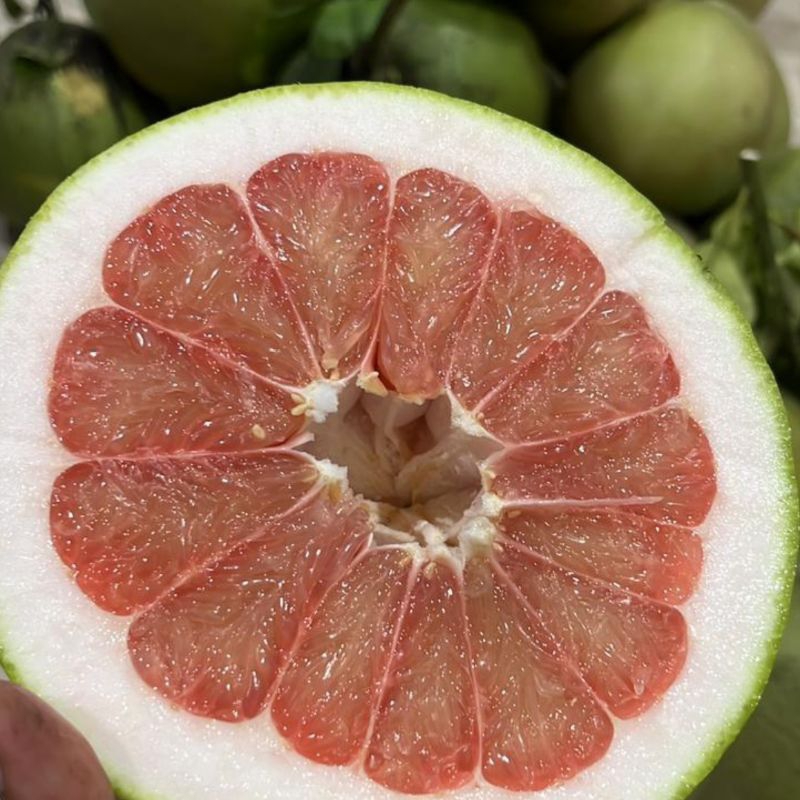 

Jeruk Pamelo Madu kualitas Premium berat 7-8 Ons