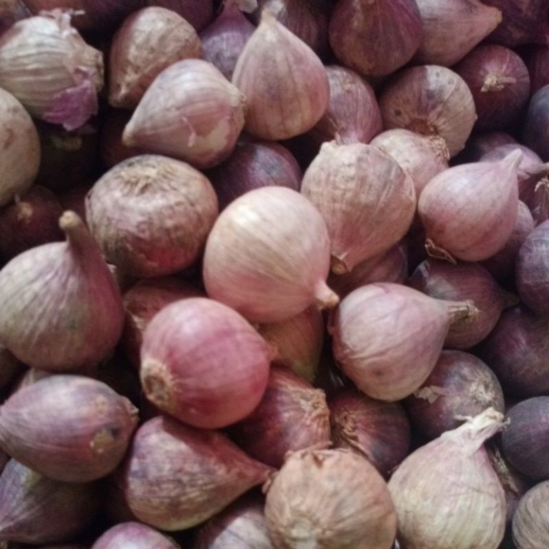 

BAWANG PUTIH TUNGGAL/LANANG. 1kg