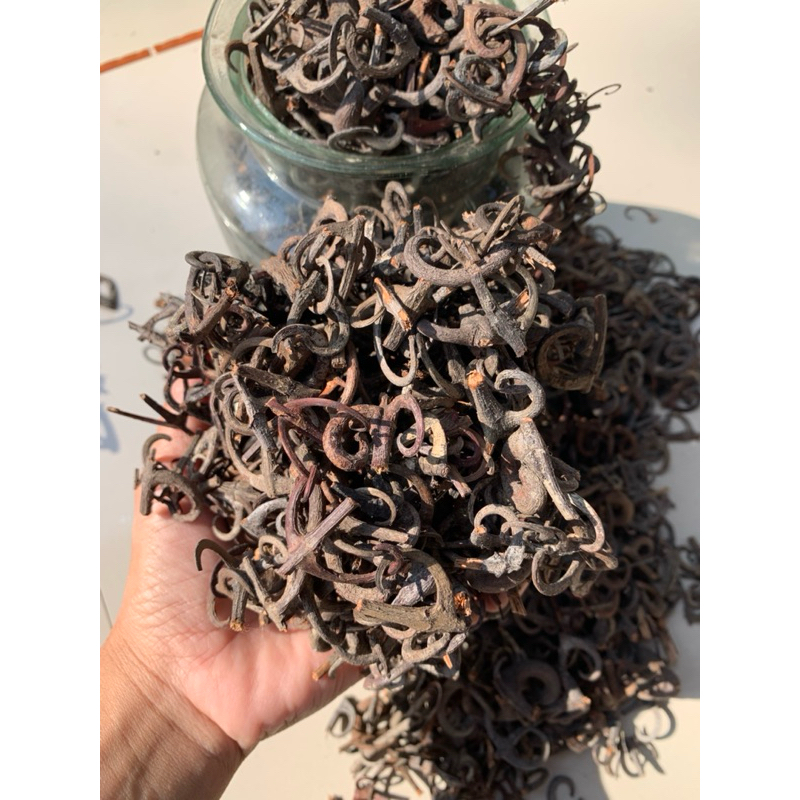 

100gr cakar elang kait kait obat herbal dengan segudang manfaat