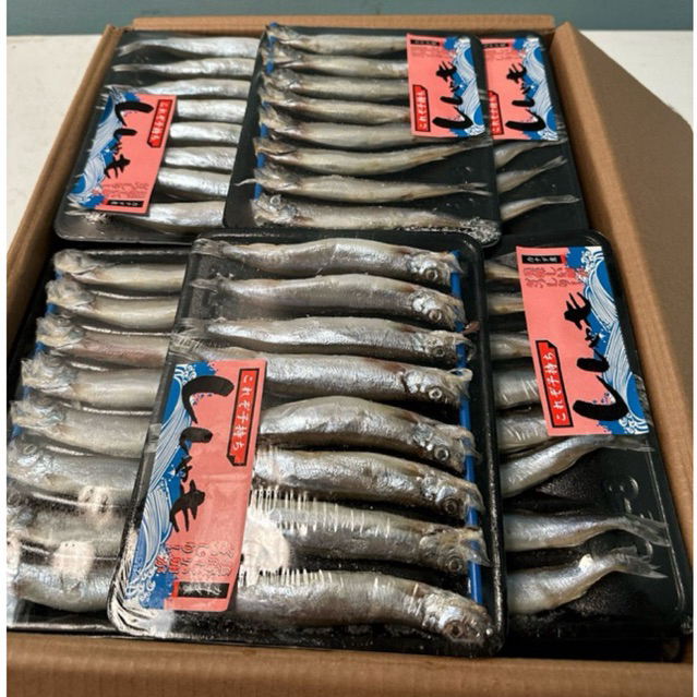 

ikan sishamo/ sishamo fish/ ikan capelin/ FULL TELUR 1 pack 170gr isi 8 ikan