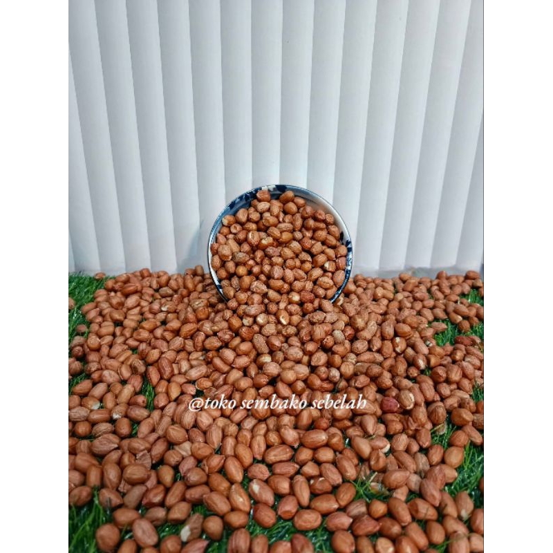 

Kacang Tanah Kulit Import Ukuran Besar Kualitas Terbaik || Kemasan 250gr, 500gr dan 1Kg