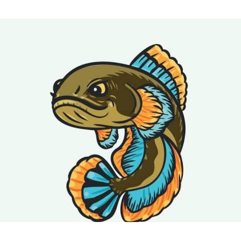 

ikan giling gabus premium