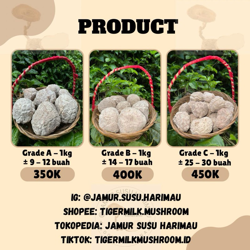 

Jamur Susu Harimau / utuh per kg