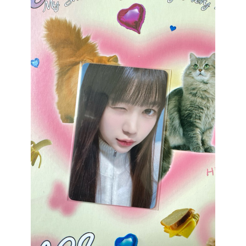 pc photocard yeon ye-on heart2hearts h2h the chase studio choom pob preorder benefit