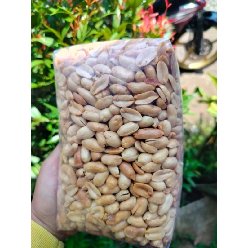 

kacang bawang