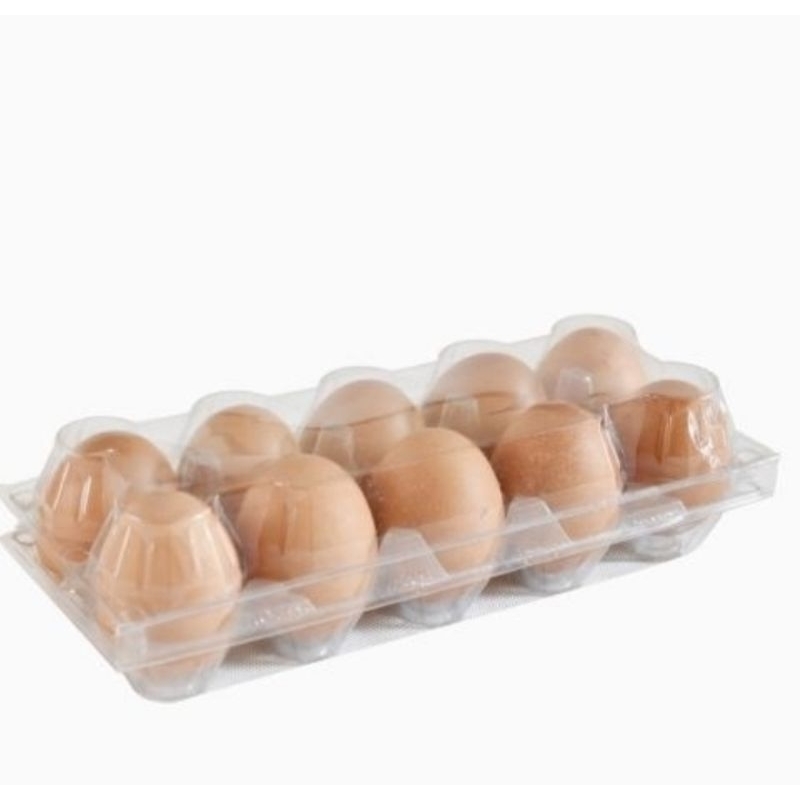 

telurayammerahfreshkandang