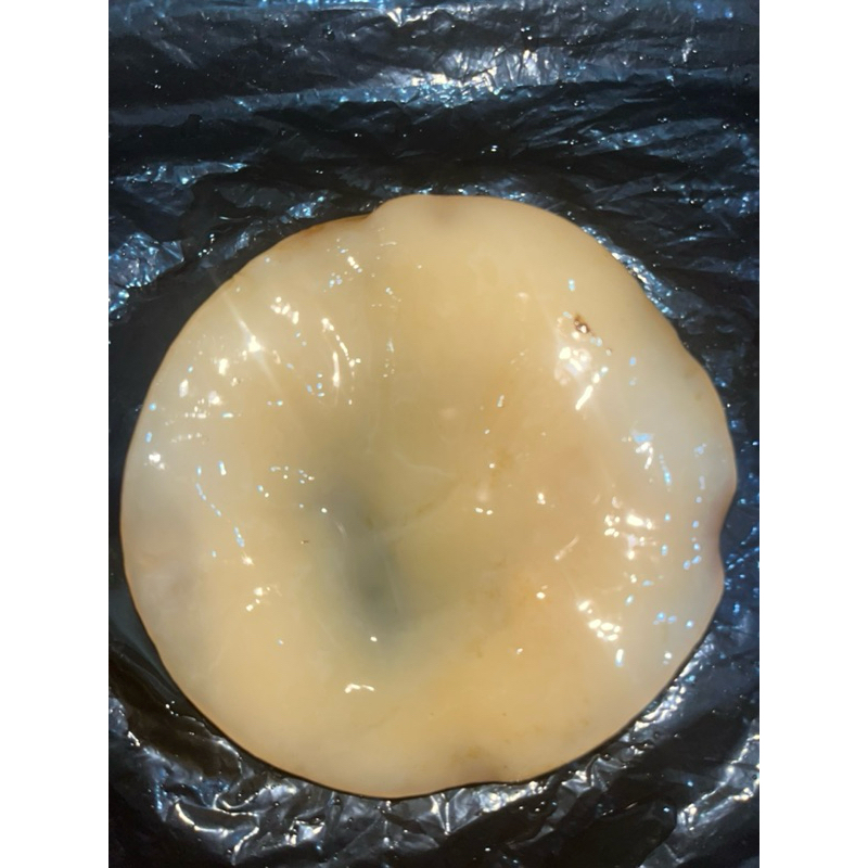 

Scoby Kombucha