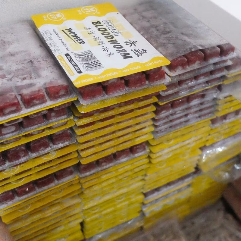 bloodworm cacing beku