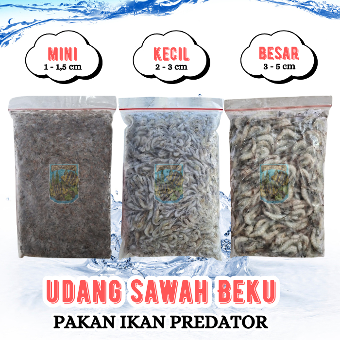 Ay00 Udang Sawah Beku Udang Rawa Udang Beku Pakan Ikan Arwana 500gr Udang Beku Segar Udang Rebon