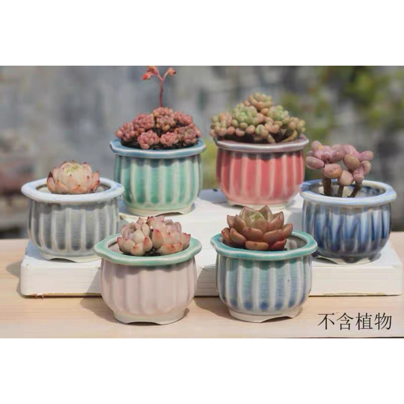 Pot sekulen/keramik ulir  Dm 6cm (1)