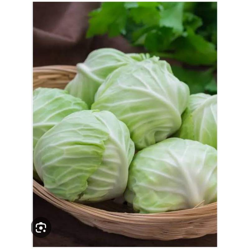 

gubis sayur col per 1kg