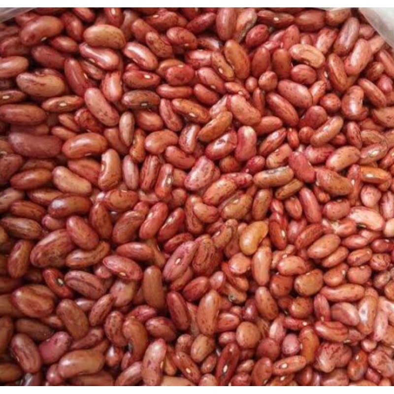 

Kacang Merah