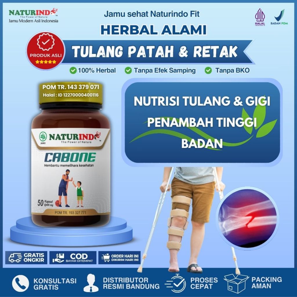 Obat Herbal Tulang Patah Retak Bengkak Nutrisi Tulang Dan Gigi Peninggi Badan Cabone Naturindo