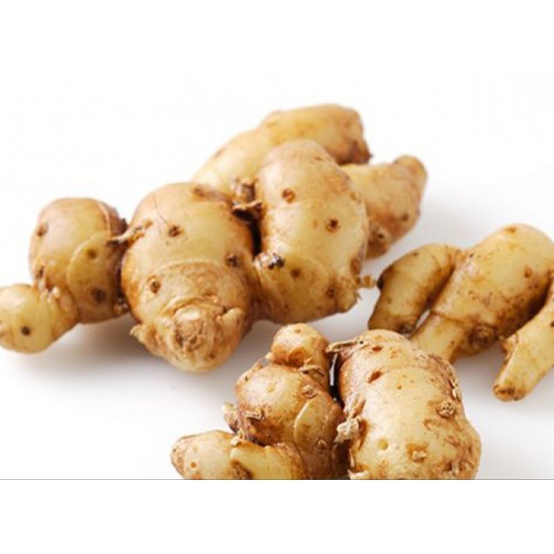 

Kencur segar 250 gr,500 gr,1 kg