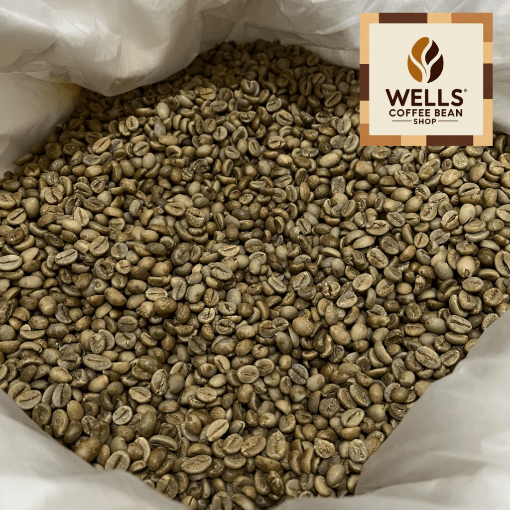 

Well's Toko Biji Kopi - GREEN BEAN / KOPI MENTAH ROBUSTA TEMANGGUNG GRADE 1 - 1 KG