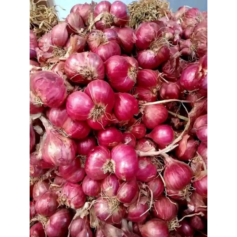 

BAWANG MERAH BREBES HARGA MURAH 500gr
