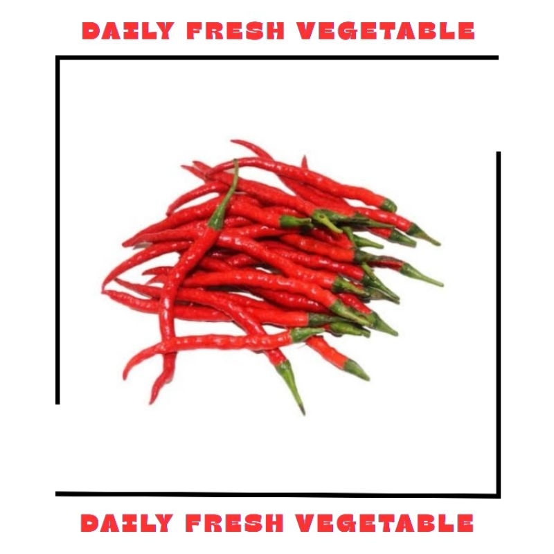 

Cabe Merah Keriting Fresh 250gr