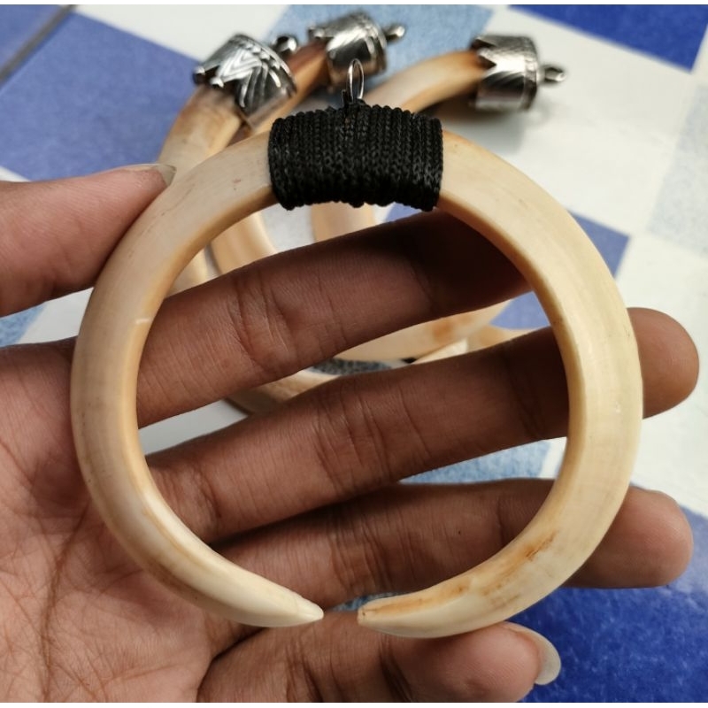 Liontin taring babi asli sepasang