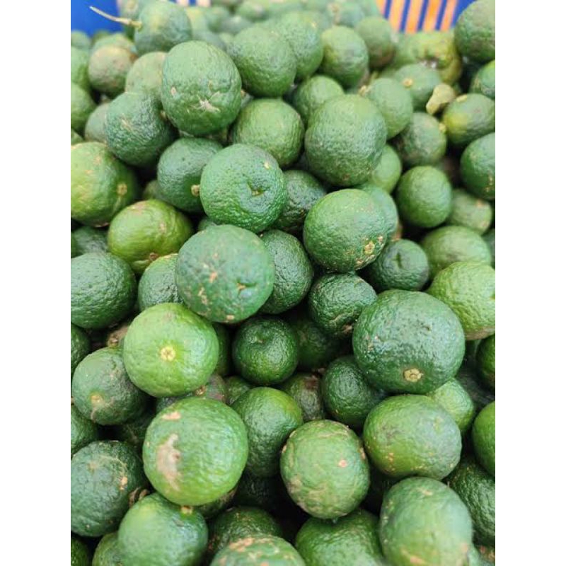 

Jeruk Limau/Limo Segar Ukuran 500g-1Kg