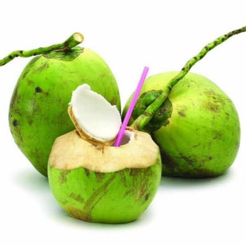 

Kelapa Muda Segar Perbuah