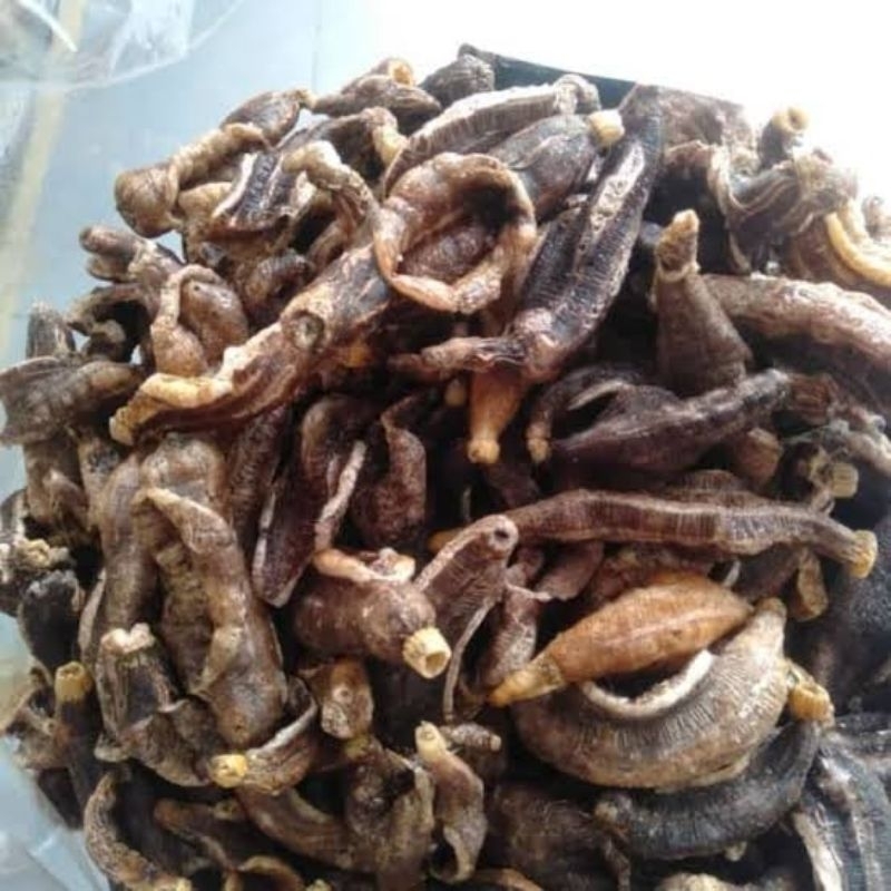 

Kerupuk Teripang / Tripang / Blonyo Hitam / Rung Terung Khas Madura (Kaya Manfaat, MANTAB)