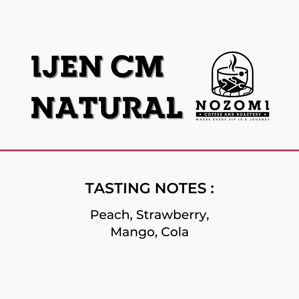 

Nozomi Coffee - Ijen Carbonic Maceration Natural - Arabica Specialty Whole Beans
