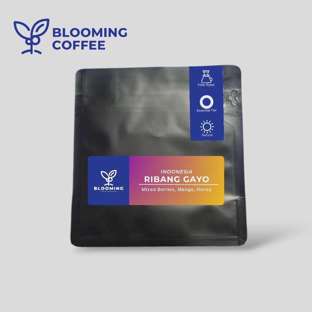 

Ribang Gayo Musara Biji Kopi Arabika – Filter Roast | Specialty Single Origin | Blooming Coffee