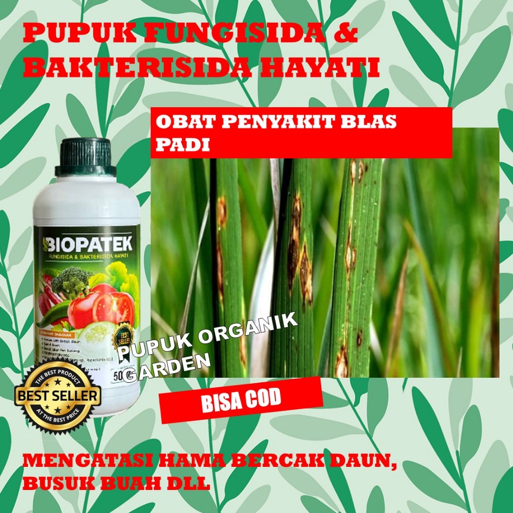 NEW BIOPATEK Fungisida Atasi Penyakit Blas Dan Patah Leher Padi Terampuh Dan Mujarab - Pupuk Semprot