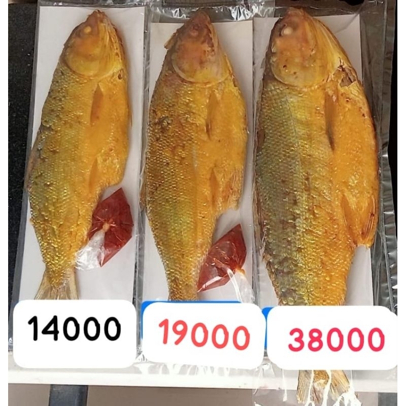 

ecer 1 pcs bandeng presto oleh oleh semarang ( tidak divacum)