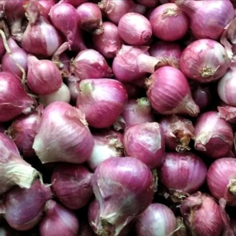 

1 KG BAWANG MERAH READY SUPER SEDANG KECIL