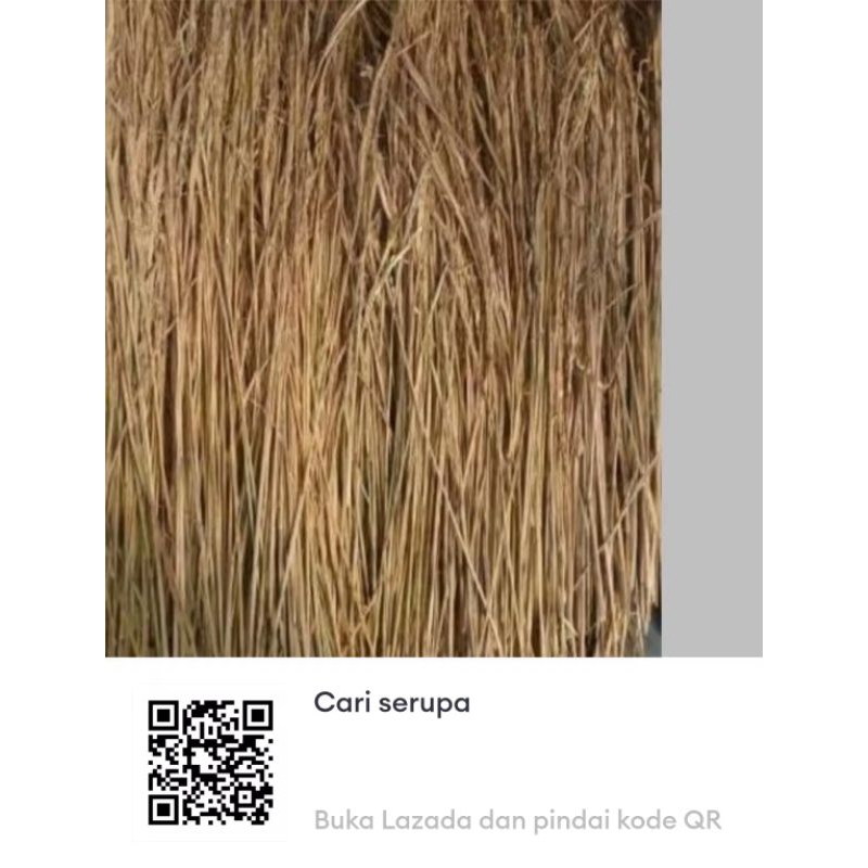 jerami padi kering 1kg