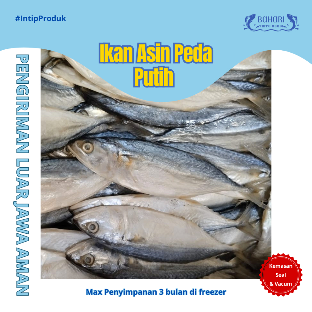 

BAHARI TIRTA ABADI - IKAN PEDA PUTIH ASIN 1kg 500gr