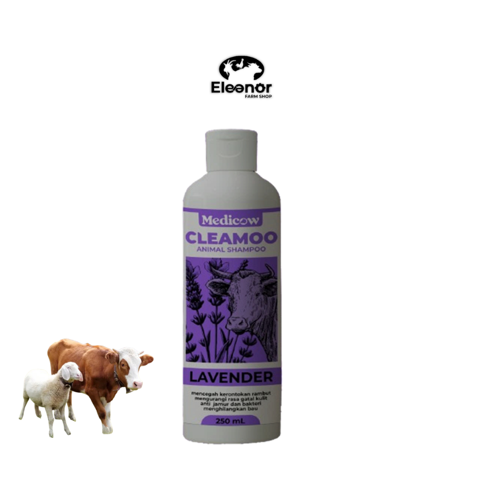 

Cleamoo Lavender Shampoo Hewan Sapi Kambing Domba Medicow 250 Ml