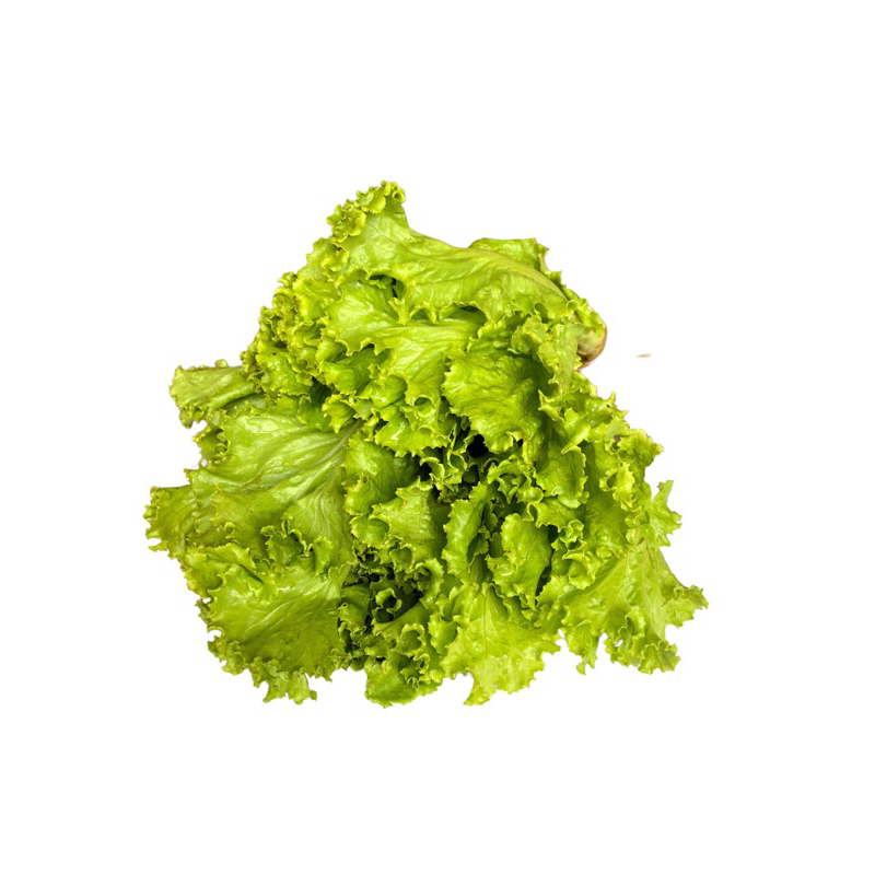 

Salada