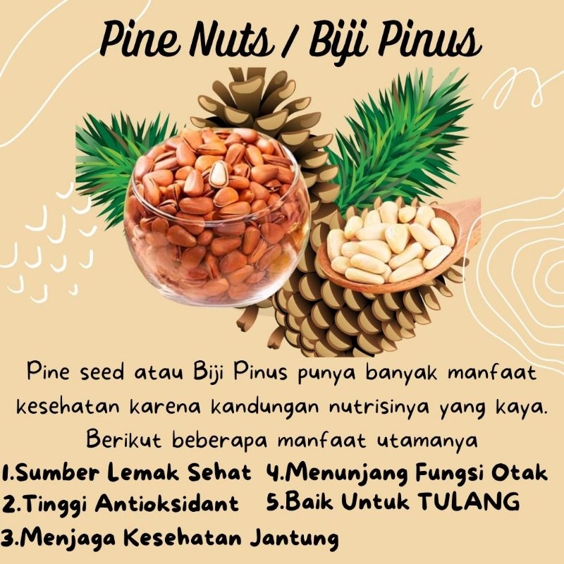 

Pine Nuts Roasted 100gr | Biji Pinus Panggang | Kacang Pinus Original | Kuaci Pinus