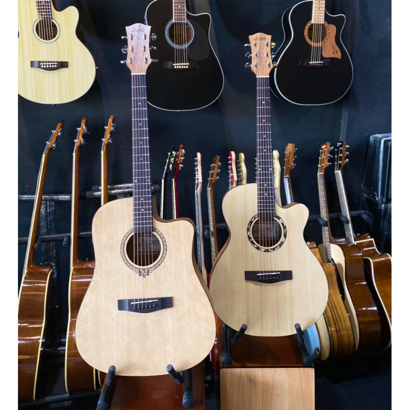 Gitar Original Dluxe D/DF/DW-100/110