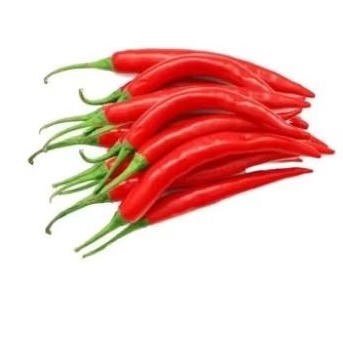 

Cabe Besar merah/hijau 100 gram