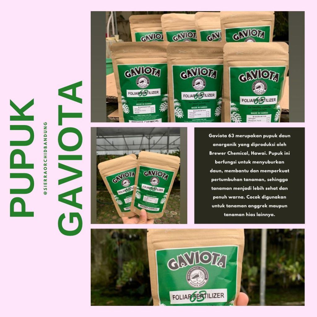 PUPUK GAVIOTA 63 dan 67