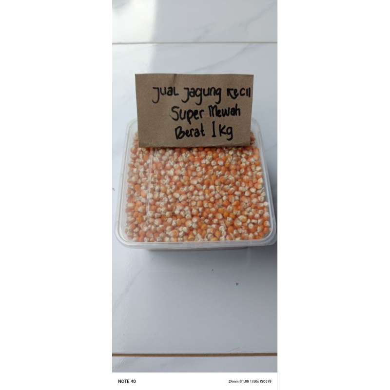 

JAGUNG KECIL SUPER 1KG