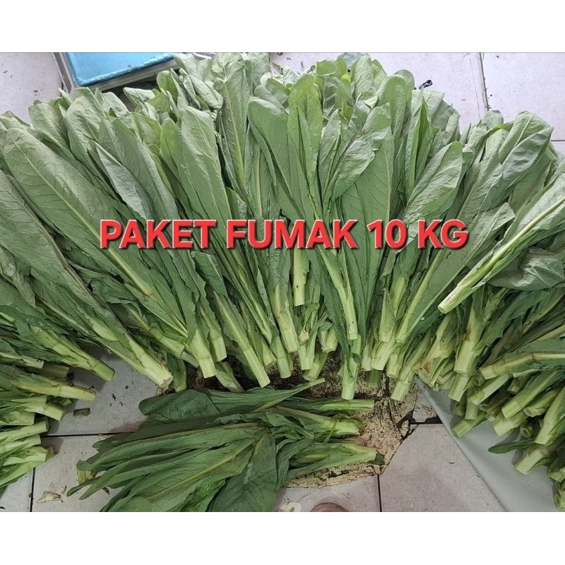 PAKET FUMAK 10 KG | GRATIS BONUS 1KG