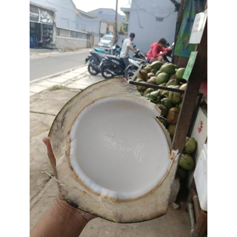 

kelapa muda original
