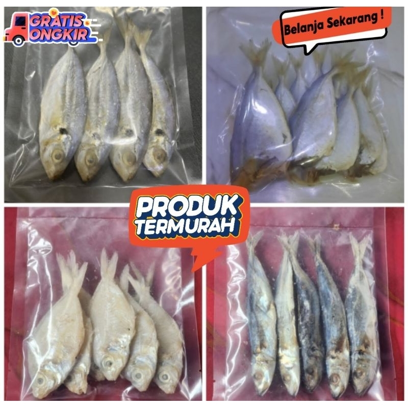 Ikan Asin Serba 5000  Ikan Selar Rengganis Layang Teri cop Petek Rebon belah tawar Samge Teri bunga