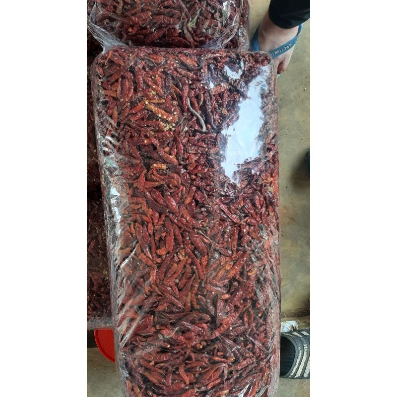 

cabe kering teja tampa tangkai