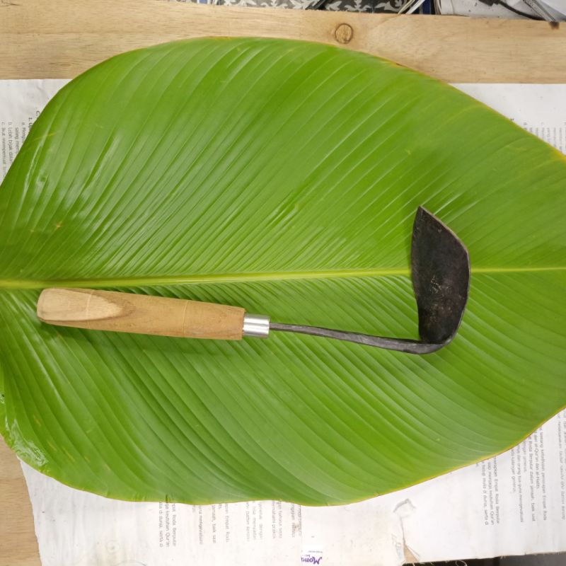 wangkil miring koret kored pembersih rumput pencabut rumput