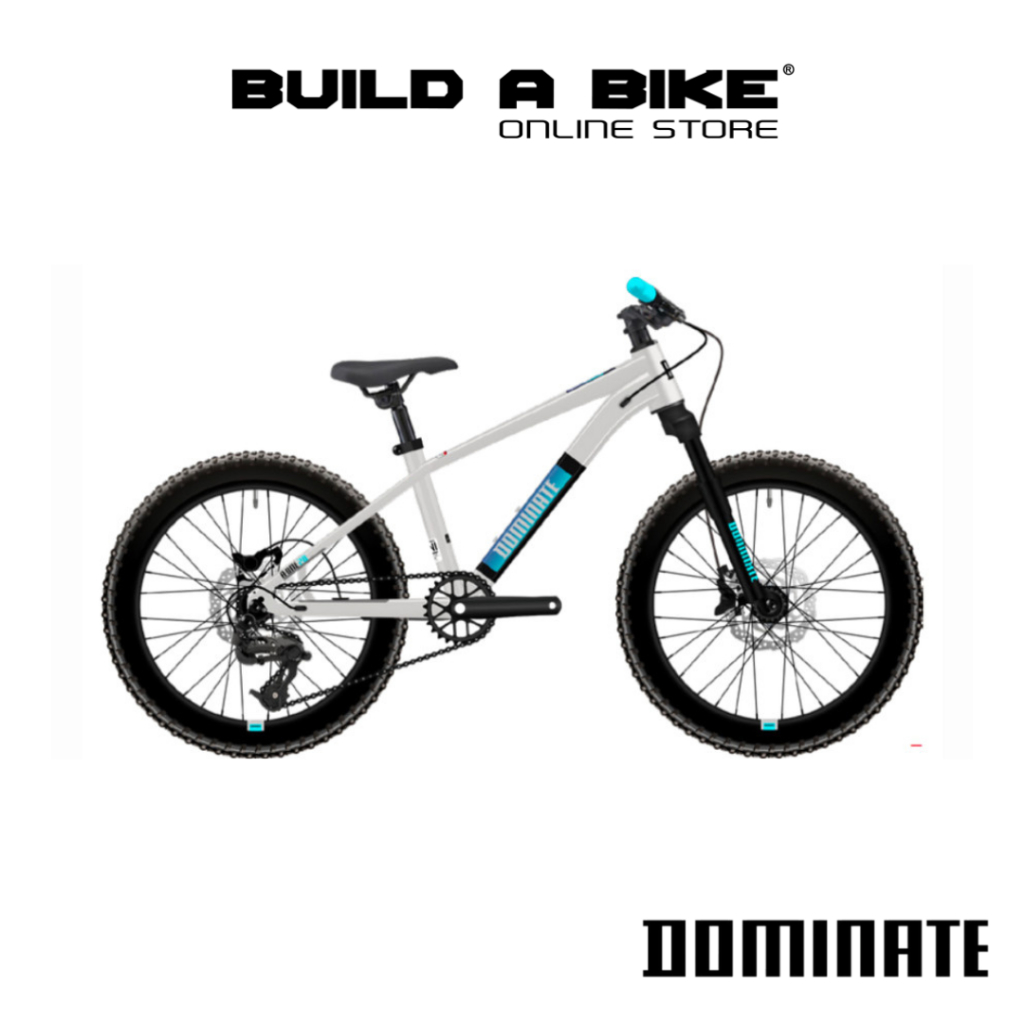 Sepeda Anak DOMINATE A-One 20 Alloy Kids Bike